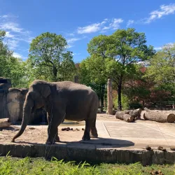 Zoological Garden Karlsruhe (Zoo Karlsruhe) - Karlsruhe