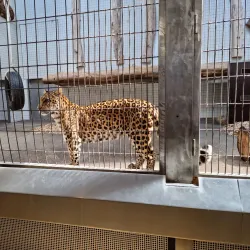 Zoological Garden Karlsruhe (Zoo Karlsruhe) - Karlsruhe