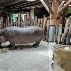 Zoological Garden Karlsruhe (Zoo Karlsruhe) - Karlsruhe