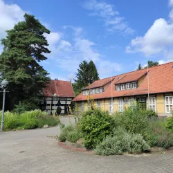 Französischer Garten - Kassel