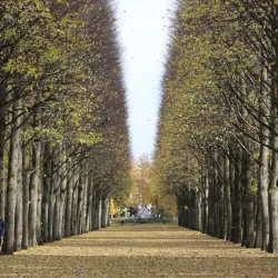 Französischer Garten - Kassel