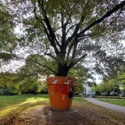 Französischer Garten - Kassel