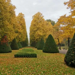 Französischer Garten - Kassel