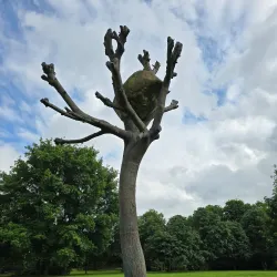 Karlsaue Park - Kassel