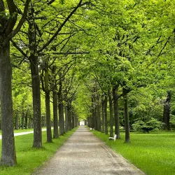 Karlsaue Park - Kassel