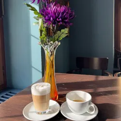 Orangerie Kassel - Kassel