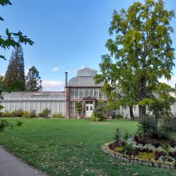 Wilhelmshöhe Palace - Kassel