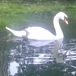 Kaufbeuren Stadtpark - Kaufbeuren