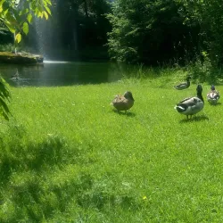 Kaufbeuren Stadtpark - Kaufbeuren