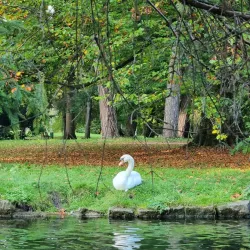 Kaufbeuren Stadtpark - Kaufbeuren