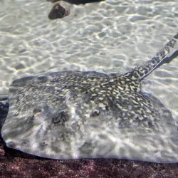 Aquarium GEOMAR - Kiel