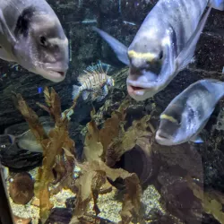 Aquarium GEOMAR - Kiel