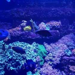 Aquarium GEOMAR - Kiel