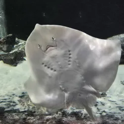 Aquarium GEOMAR - Kiel