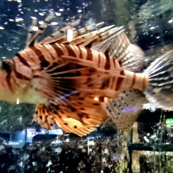 Aquarium GEOMAR - Kiel