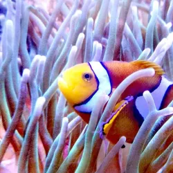 Aquarium GEOMAR - Kiel