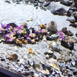 Aquarium GEOMAR - Kiel