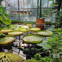 Kiel Botanical Gardens (Botanischer Garten Kiel) - Kiel