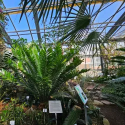 Kiel Botanical Gardens (Botanischer Garten Kiel) - Kiel