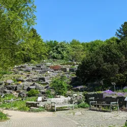 Kiel Botanical Gardens (Botanischer Garten Kiel) - Kiel