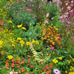 Kiel Botanical Gardens (Botanischer Garten Kiel) - Kiel