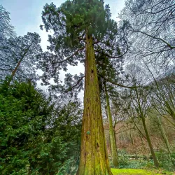 Kleve City Park (Stadtpark Kleve) - Kleve