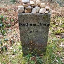 Klever Reichswald (Imperial Forest) - Kleve