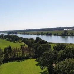 Klever Reichswald (Imperial Forest) - Kleve