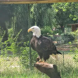 Tiergarten Kleve (Kleve Zoo) - Kleve