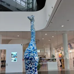 Mittelrhein Museum - Koblenz