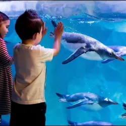 Sea Life Konstanz - Konstanz