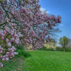 Botanischer Garten Krefeld - Krefeld