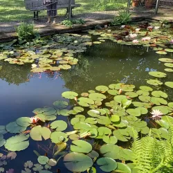 Botanischer Garten Krefeld - Krefeld