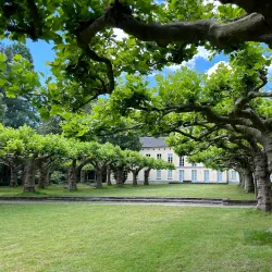 Botanischer Garten Krefeld - Krefeld