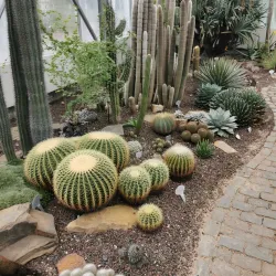 Botanischer Garten Krefeld - Krefeld