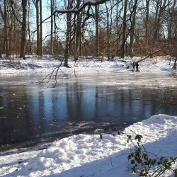 Stadtwald Krefeld - Krefeld