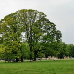 Stadtwald Krefeld - Krefeld