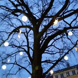 Kulturzentrum Alte Schule - Landstuhl