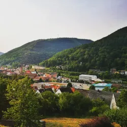 Palatinate Forest Nature Park (Pfälzerwald) - Landstuhl
