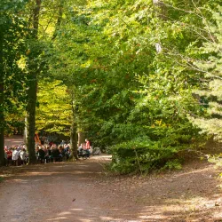 Palatinate Forest Nature Park (Pfälzerwald) - Landstuhl