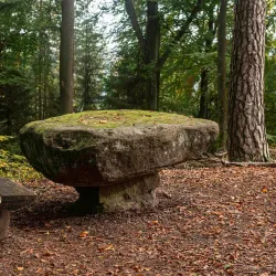 Palatinate Forest Nature Park (Pfälzerwald) - Landstuhl