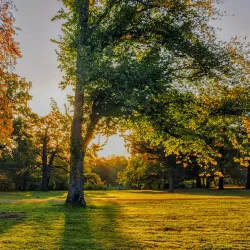 Clara Zetkin Park - Leipzig