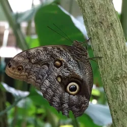 Leipzig Botanical Garden - Leipzig