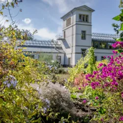 Leipzig Botanical Garden - Leipzig