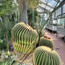 Leipzig Botanical Garden - Leipzig