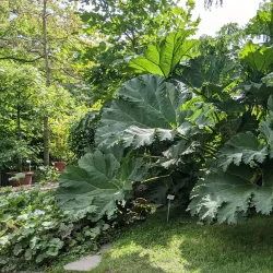 Leipzig Botanical Garden - Leipzig