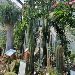 Leipzig Botanical Garden - Leipzig