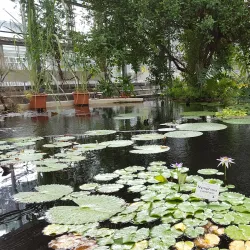 Leipzig Botanical Garden - Leipzig