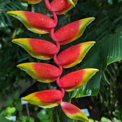 Leipzig Botanical Garden - Leipzig