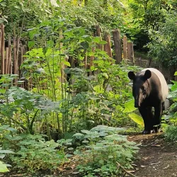 Leipzig Zoo - Leipzig
